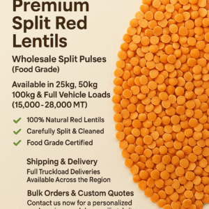 Canadian Premium Bulk Split Red Lentils – Wholesale Cleaned Pulses (Food Grade)