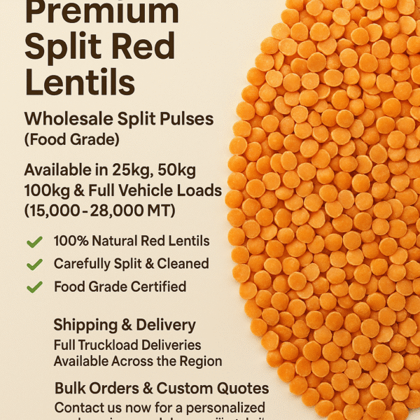 Canadian Premium Bulk Split Red Lentils – Wholesale Cleaned Pulses (Food Grade)
